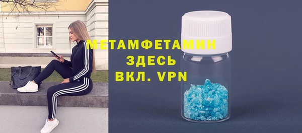 мет Алексин