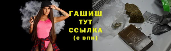 мет Алексин