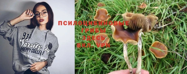 герыч Алзамай