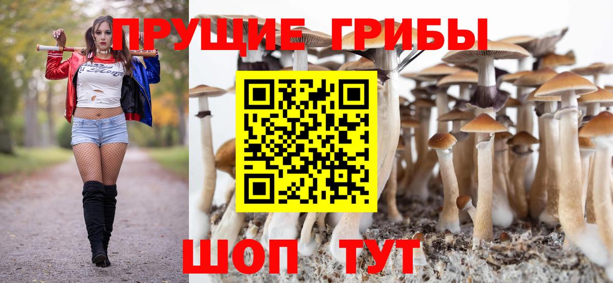 Выкса  Псилоцибиновые грибы мицелий  цена   Вход с VPN 