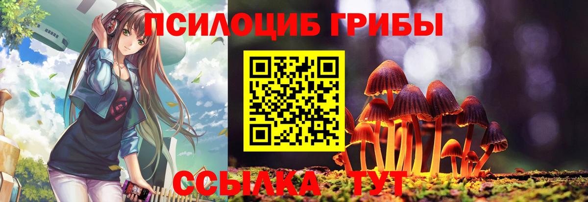 Галлюциногенные грибы Psilocybe Выкса